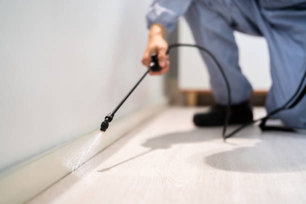Licensed Mosquito Control service in Oakley, KS - Show Me Pest Control
