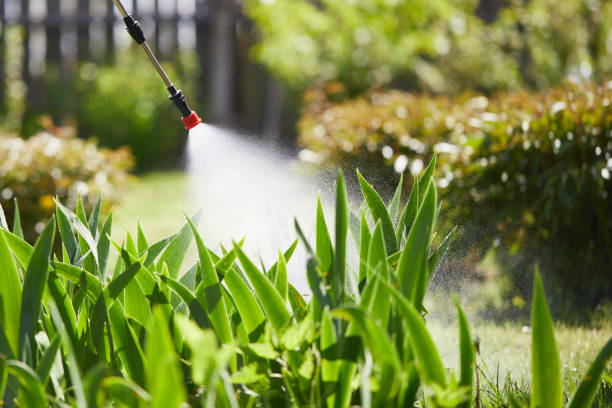 24/7 Emergency Mosquito Control experts in Oakley, KS