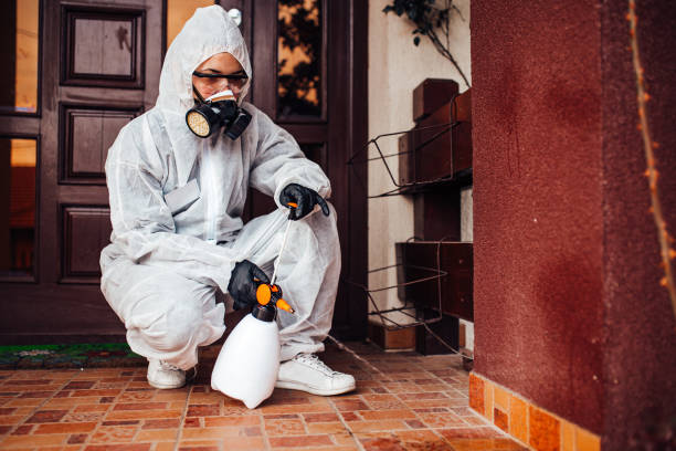Reliable Mosquito Control contractor in Oakley, KS by Show Me Pest Control